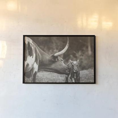 Longhorn Pasture Pair Sepia by Nathan Larson. shown as a paper print in a black flame. Available as a archival giclee rolled canvas, fine art paper, or poster print. SKU 93357i.