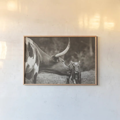 Longhorn Pasture Pair Sepia by Nathan Larson. shown as a paper print in a natural frame. Available as a archival giclee rolled canvas, fine art paper, or poster print. SKU 93357i.