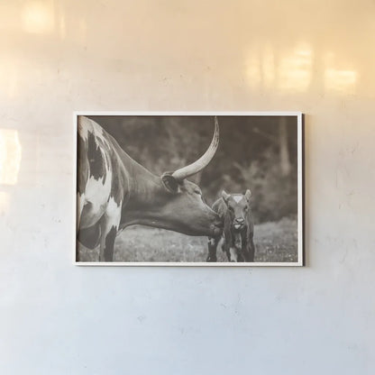 Longhorn Pasture Pair Sepia by Nathan Larson. shown as a paper print in a white frame. Available as a archival giclee rolled canvas, fine art paper, or poster print. SKU 93357i.
