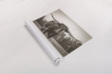Longhorn Pastures Sepia by Nathan Larson. shown as a rolled paper print. Available as archival giclee rolled canvas, fine art paper, or poster print. SKU 91380i.