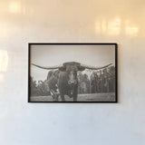 Longhorn Pastures Sepia by Nathan Larson. shown as a paper print in a black flame. Available as a archival giclee rolled canvas, fine art paper, or poster print. SKU 91380i.