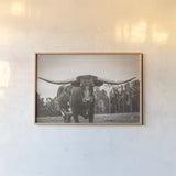 Longhorn Pastures Sepia by Nathan Larson. shown as a paper print in a natural frame. Available as a archival giclee rolled canvas, fine art paper, or poster print. SKU 91380i.