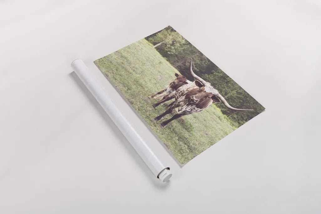 Longhorn Protection by Nathan Larson. shown as a rolled paper print. Available as archival giclee rolled canvas, fine art paper, or poster print. SKU 91520i.