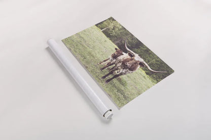 Longhorn Protection by Nathan Larson. shown as a rolled paper print. Available as archival giclee rolled canvas, fine art paper, or poster print. SKU 91520i.