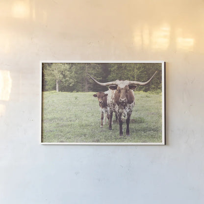 Longhorn Protection by Nathan Larson. shown as a paper print in a white frame. Available as a archival giclee rolled canvas, fine art paper, or poster print. SKU 91520i.