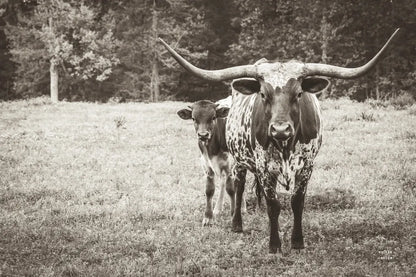 Longhorn Protection Sepia by Nathan Larson. SKU 91521i. Archival Giclee Fine art print for wall decor.