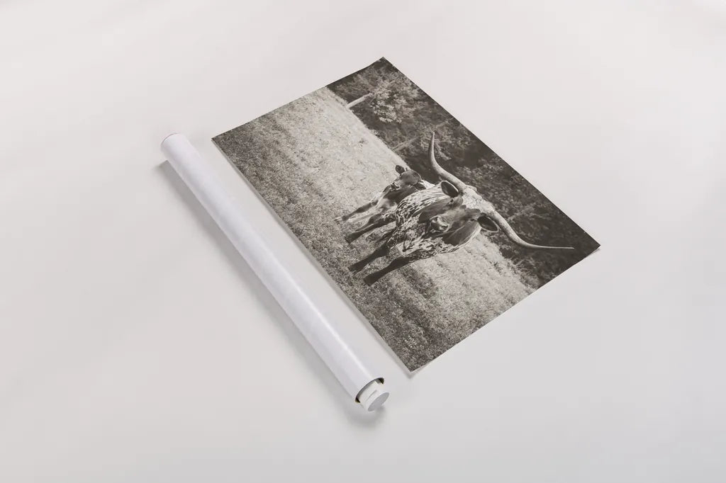 Longhorn Protection Sepia by Nathan Larson. shown as a rolled paper print. Available as archival giclee rolled canvas, fine art paper, or poster print. SKU 91521i.