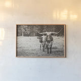 Longhorn Protection Sepia by Nathan Larson. shown as a paper print in a natural frame. Available as a archival giclee rolled canvas, fine art paper, or poster print. SKU 91521i.