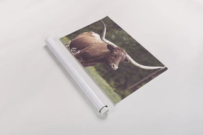 Longhorn Side Eye by Nathan Larson. shown as a rolled paper print. Available as archival giclee rolled canvas, fine art paper, or poster print. SKU 93360i.