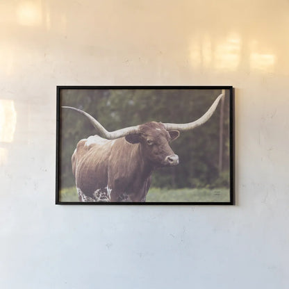 Longhorn Side Eye by Nathan Larson. shown as a paper print in a black flame. Available as a archival giclee rolled canvas, fine art paper, or poster print. SKU 93360i.