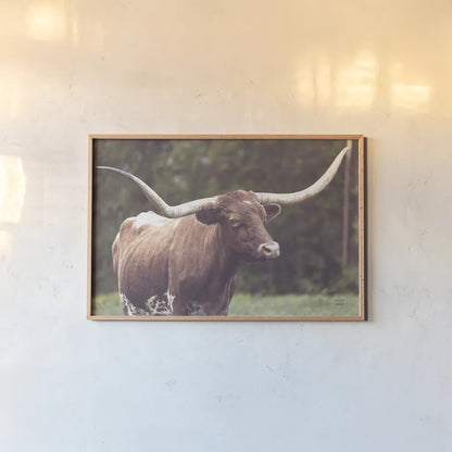 Longhorn Side Eye by Nathan Larson. shown as a paper print in a natural frame. Available as a archival giclee rolled canvas, fine art paper, or poster print. SKU 93360i.