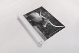 Longhorn Side Eye BW by Nathan Larson. shown as a rolled paper print. Available as archival giclee rolled canvas, fine art paper, or poster print. SKU 93361i.