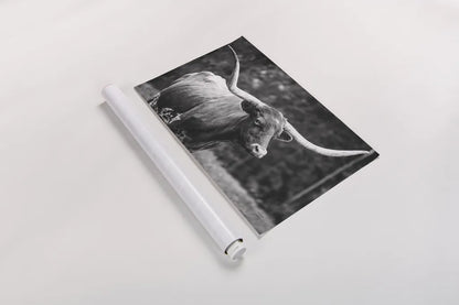 Longhorn Side Eye BW by Nathan Larson. shown as a rolled paper print. Available as archival giclee rolled canvas, fine art paper, or poster print. SKU 93361i.