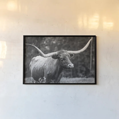 Longhorn Side Eye BW by Nathan Larson. shown as a paper print in a black flame. Available as a archival giclee rolled canvas, fine art paper, or poster print. SKU 93361i.