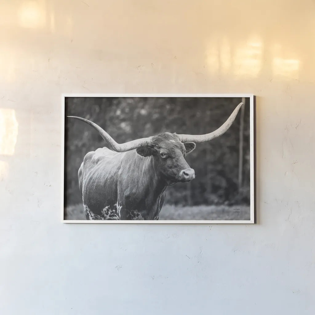 Longhorn Side Eye BW by Nathan Larson. shown as a paper print in a white frame. Available as a archival giclee rolled canvas, fine art paper, or poster print. SKU 93361i.