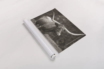 Longhorn Side Eye Sepia by Nathan Larson. shown as a rolled paper print. Available as archival giclee rolled canvas, fine art paper, or poster print. SKU 93362i.