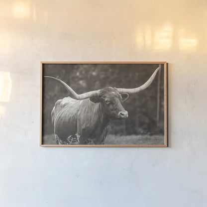 Longhorn Side Eye Sepia by Nathan Larson. shown as a paper print in a natural frame. Available as a archival giclee rolled canvas, fine art paper, or poster print. SKU 93362i.