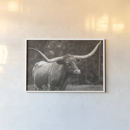 Longhorn Side Eye Sepia by Nathan Larson. shown as a paper print in a white frame. Available as a archival giclee rolled canvas, fine art paper, or poster print. SKU 93362i.