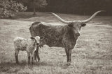 Longhorn Spring Sepia by Nathan Larson. SKU 91901i. Archival Giclee Fine art print for wall decor.