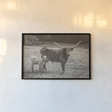 Longhorn Spring Sepia by Nathan Larson. shown as a paper print in a black flame. Available as a archival giclee rolled canvas, fine art paper, or poster print. SKU 91901i.