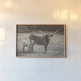 Longhorn Spring Sepia by Nathan Larson. shown as a paper print in a natural frame. Available as a archival giclee rolled canvas, fine art paper, or poster print. SKU 91901i.