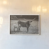 Longhorn Spring Sepia by Nathan Larson. shown as a paper print in a white frame. Available as a archival giclee rolled canvas, fine art paper, or poster print. SKU 91901i.