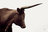 Longhorn Sunset Graze Sepia by Nathan Larson. SKU 92289i. Archival Giclee Fine art print for wall decor.