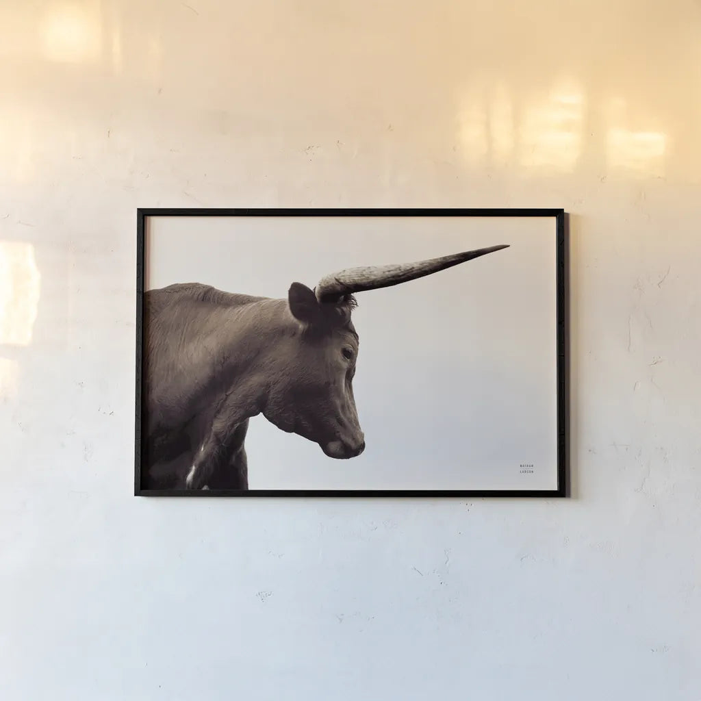 Longhorn Sunset Graze Sepia by Nathan Larson. shown as a paper print in a black flame. Available as a archival giclee rolled canvas, fine art paper, or poster print. SKU 92289i.