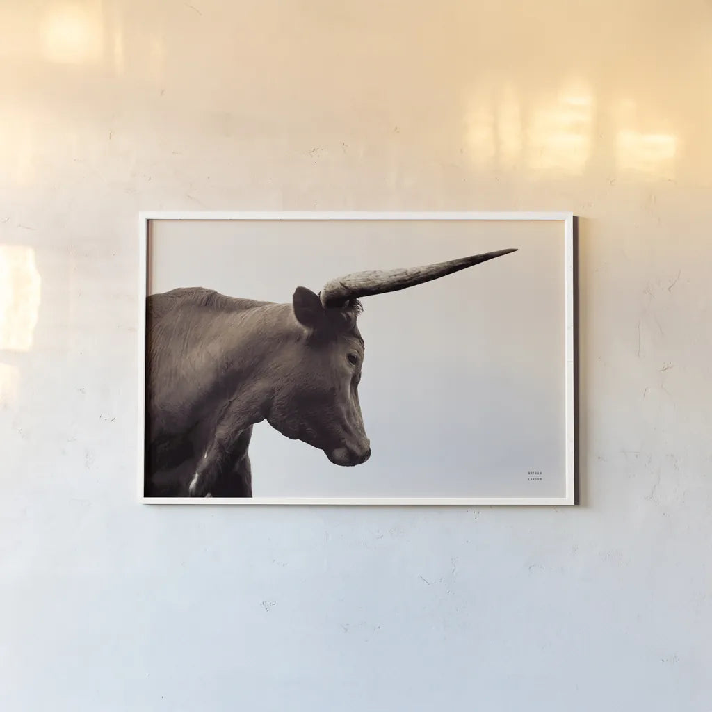 Longhorn Sunset Graze Sepia by Nathan Larson. shown as a paper print in a white frame. Available as a archival giclee rolled canvas, fine art paper, or poster print. SKU 92289i.