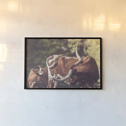 Longhorn Twist by Nathan Larson. shown as a paper print in a black flame. Available as a archival giclee rolled canvas, fine art paper, or poster print. SKU 93363i.