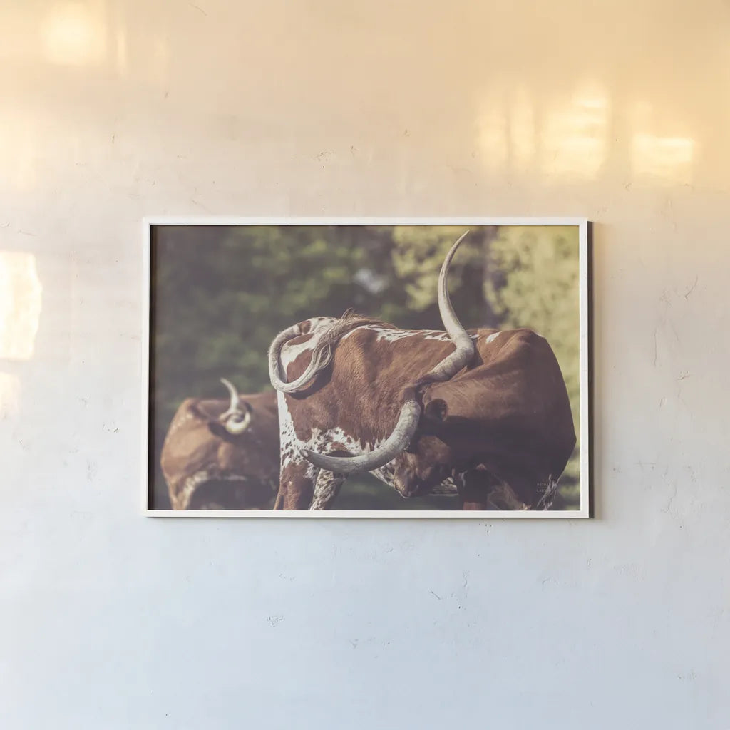 Longhorn Twist by Nathan Larson. shown as a paper print in a white frame. Available as a archival giclee rolled canvas, fine art paper, or poster print. SKU 93363i.