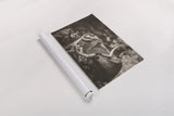 Longhorn Twist Sepia by Nathan Larson. shown as a rolled paper print. Available as archival giclee rolled canvas, fine art paper, or poster print. SKU 93364i.