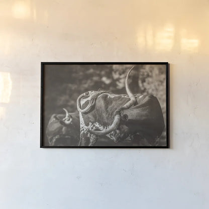 Longhorn Twist Sepia by Nathan Larson. shown as a paper print in a black flame. Available as a archival giclee rolled canvas, fine art paper, or poster print. SKU 93364i.