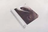 Longhorn Watch by Nathan Larson. shown as a rolled paper print. Available as archival giclee rolled canvas, fine art paper, or poster print. SKU 92322i.