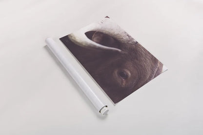 Longhorn Watch by Nathan Larson. shown as a rolled paper print. Available as archival giclee rolled canvas, fine art paper, or poster print. SKU 92322i.