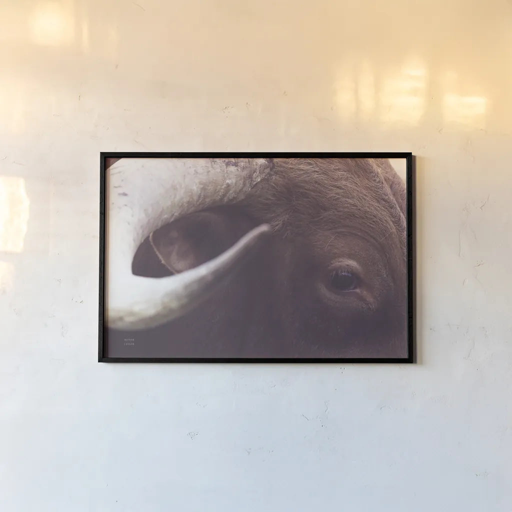 Longhorn Watch by Nathan Larson. shown as a paper print in a black flame. Available as a archival giclee rolled canvas, fine art paper, or poster print. SKU 92322i.