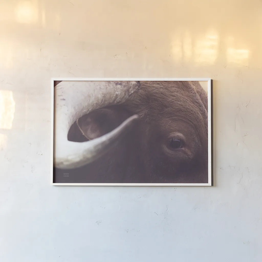 Longhorn Watch by Nathan Larson. shown as a paper print in a white frame. Available as a archival giclee rolled canvas, fine art paper, or poster print. SKU 92322i.