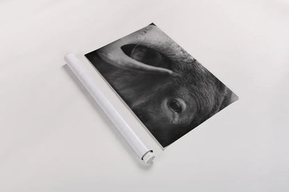 Longhorn Watch BW by Nathan Larson. shown as a rolled paper print. Available as archival giclee rolled canvas, fine art paper, or poster print. SKU 92323i.