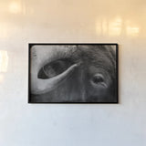 Longhorn Watch BW by Nathan Larson. shown as a paper print in a black flame. Available as a archival giclee rolled canvas, fine art paper, or poster print. SKU 92323i.