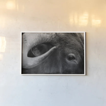 Longhorn Watch BW by Nathan Larson. shown as a paper print in a white frame. Available as a archival giclee rolled canvas, fine art paper, or poster print. SKU 92323i.