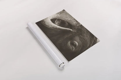 Longhorn Watch Sepia by Nathan Larson. shown as a rolled paper print. Available as archival giclee rolled canvas, fine art paper, or poster print. SKU 92324i.