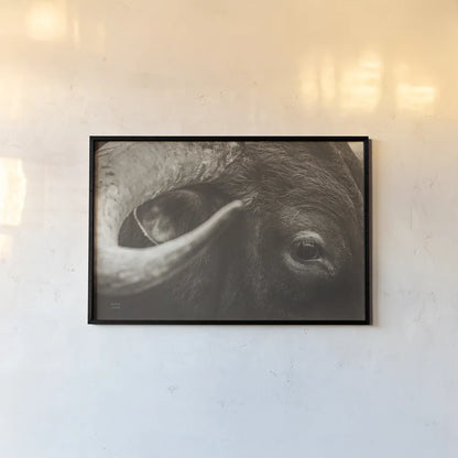 Longhorn Watch Sepia by Nathan Larson. shown as a paper print in a black flame. Available as a archival giclee rolled canvas, fine art paper, or poster print. SKU 92324i.