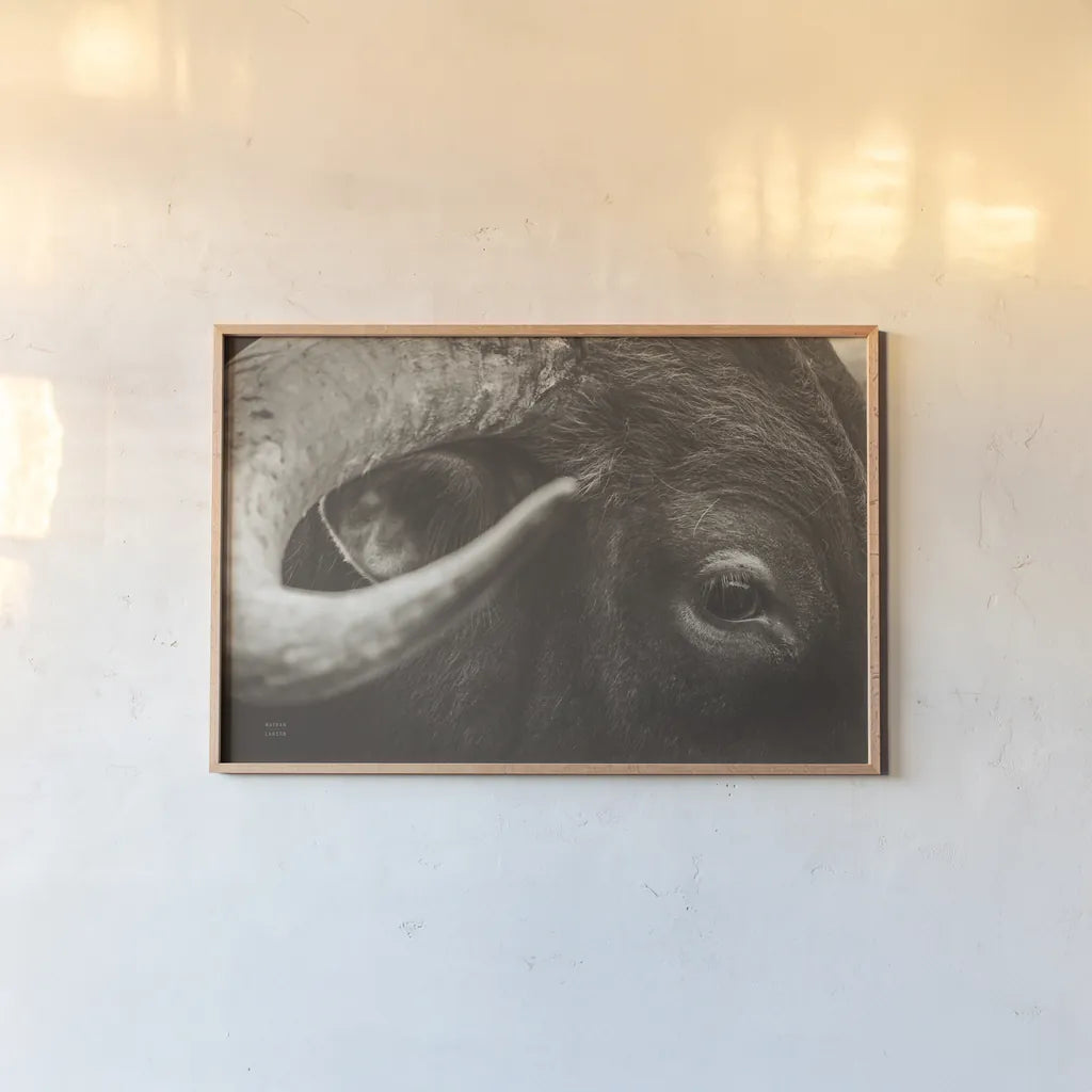 Longhorn Watch Sepia by Nathan Larson. shown as a paper print in a natural frame. Available as a archival giclee rolled canvas, fine art paper, or poster print. SKU 92324i.