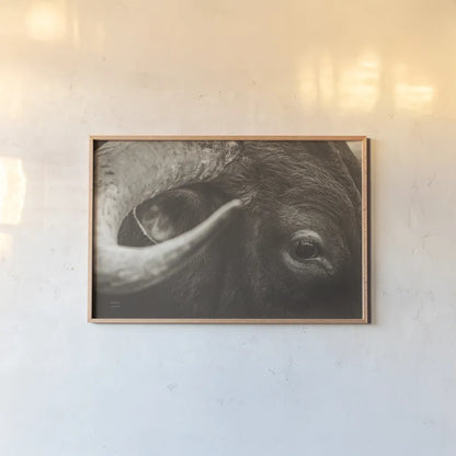 Longhorn Watch Sepia by Nathan Larson. shown as a paper print in a natural frame. Available as a archival giclee rolled canvas, fine art paper, or poster print. SKU 92324i.