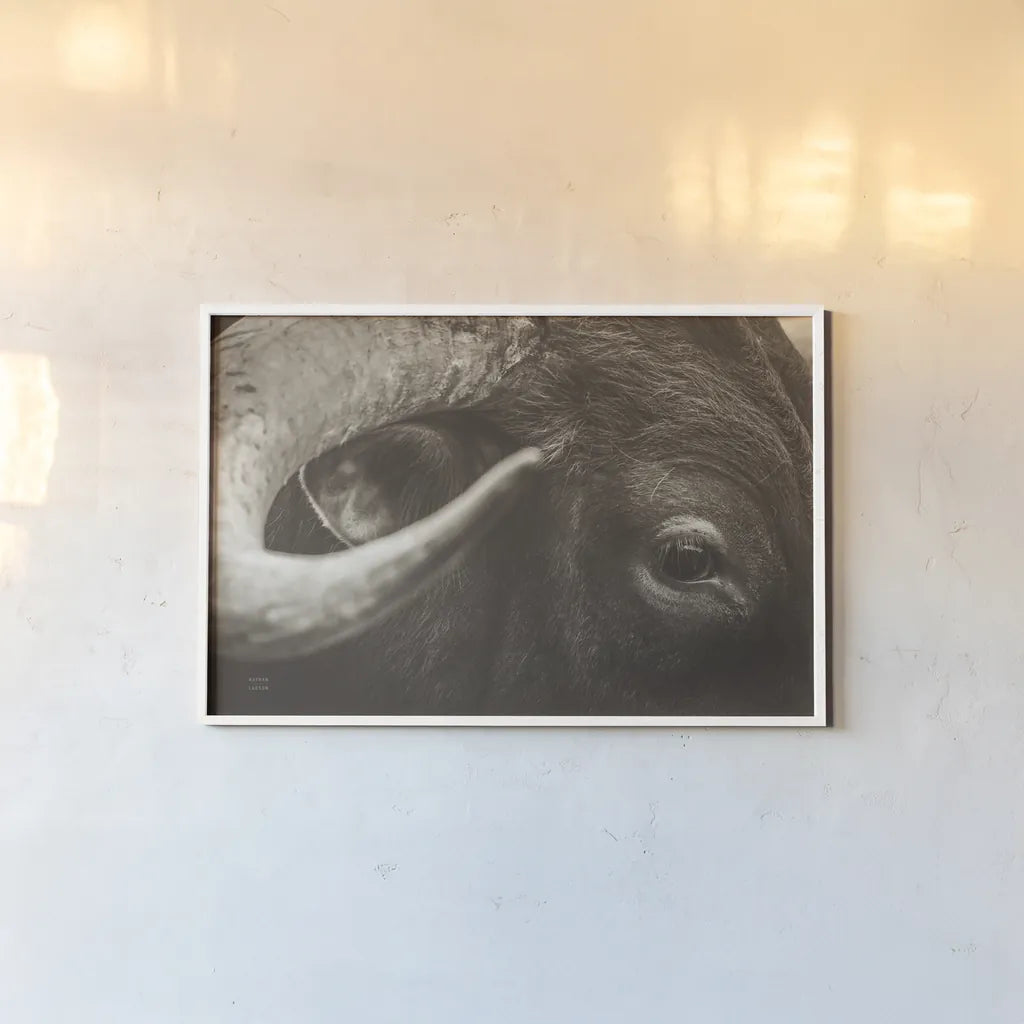 Longhorn Watch Sepia by Nathan Larson. shown as a paper print in a white frame. Available as a archival giclee rolled canvas, fine art paper, or poster print. SKU 92324i.
