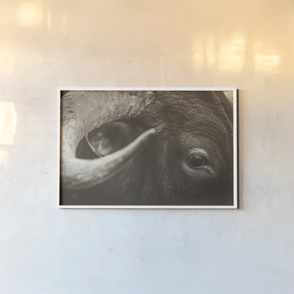 Longhorn Watch Sepia by Nathan Larson. shown as a paper print in a white frame. Available as a archival giclee rolled canvas, fine art paper, or poster print. SKU 92324i.