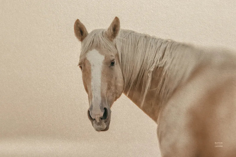 Looking Back by Nathan Larson. SKU 104781i. Archival Giclee Fine art print for wall decor.