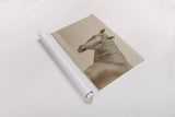 Looking Back by Nathan Larson. shown as a rolled paper print. Available as archival giclee rolled canvas, fine art paper, or poster print. SKU 104781i.
