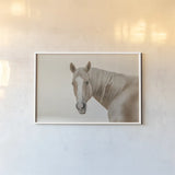 Looking Back Light by Nathan Larson. shown as a paper print in a white frame. Available as a archival giclee rolled canvas, fine art paper, or poster print. SKU 104780i.