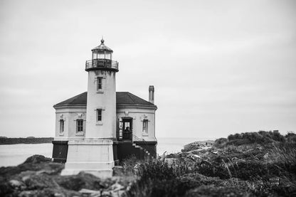 Looking Out by Nathan Larson. SKU 90478i. Archival Giclee Fine art print for wall decor.